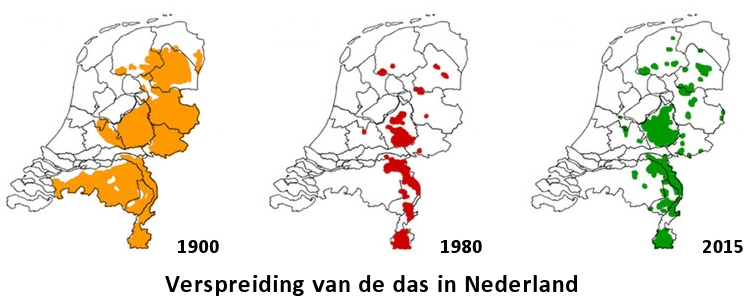 Verspreidingsgebied van de das in Nederland